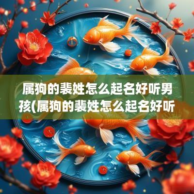 属狗的裴姓怎么起名好听男孩(属狗的裴姓怎么起名好听点)