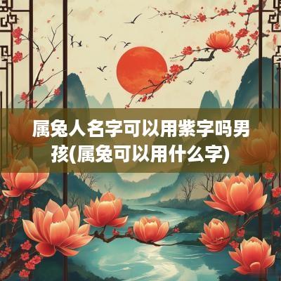 属兔人名字可以用紫字吗男孩(属兔可以用什么字)