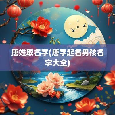 唐姓取名字(唐字起名男孩名字大全)
