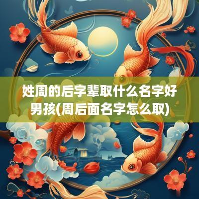 姓周的后字辈取什么名字好男孩(周后面名字怎么取)