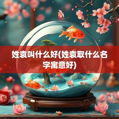 姓袁叫什么好(姓袁取什么名字寓意好)