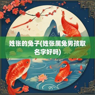 姓张的兔子(姓张属兔男孩取名字好吗)