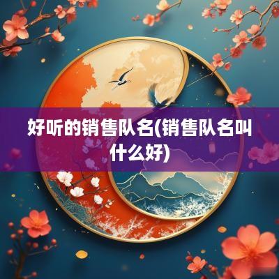 好听的销售队名(销售队名叫什么好)