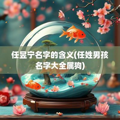 任昱宁名字的含义(任姓男孩名字大全属狗)