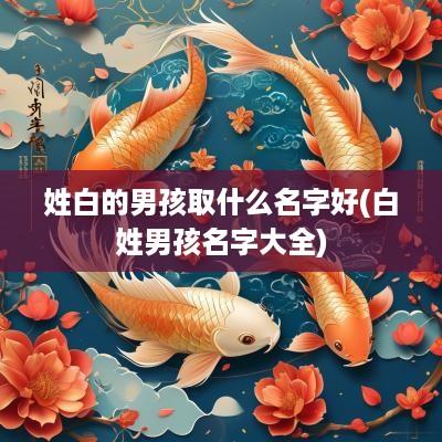 姓白的男孩取什么名字好(白姓男孩名字大全)