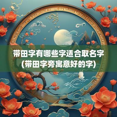 带田字有哪些字适合取名字(带田字旁寓意好的字)