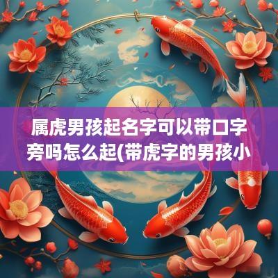属虎男孩起名字可以带口字旁吗怎么起(带虎字的男孩小名)