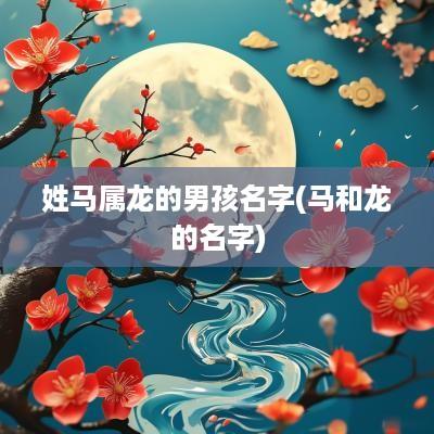 姓马属龙的男孩名字(马和龙的名字)