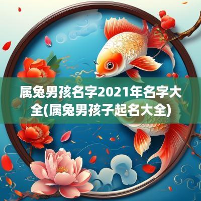 属兔男孩名字2025年名字大全(属兔男孩子起名大全)