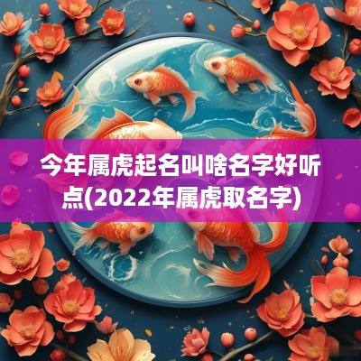今年属虎起名叫啥名字好听点(2025年属虎取名字)