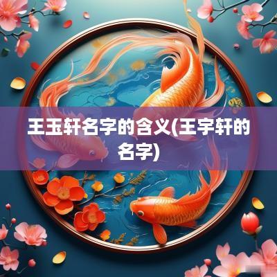 王玉轩名字的含义(王宇轩的名字)
