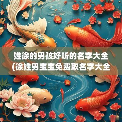 姓徐的男孩好听的名字大全(徐姓男宝宝免费取名字大全2025)