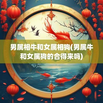 男属相牛和女属相狗(男属牛和女属狗的合得来吗)