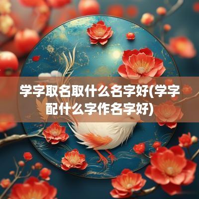 学字取名取什么名字好(学字配什么字作名字好)
