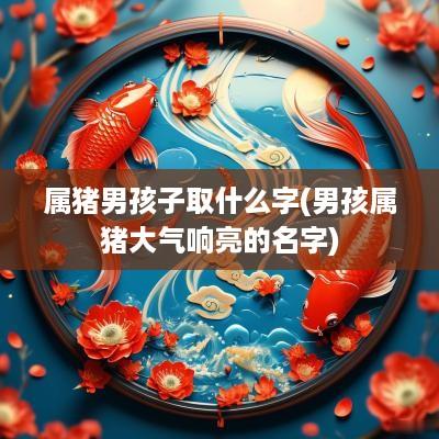 属猪男孩子取什么字(男孩属猪大气响亮的名字)