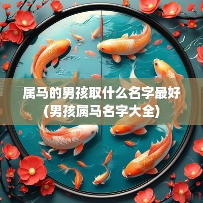 属马的男孩取什么名字最好(男孩属马名字大全)