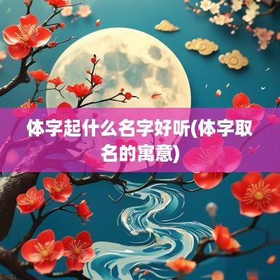体字起什么名字好听(体字取名的寓意)