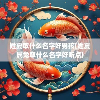 姓夏取什么名字好男孩(姓夏属兔取什么名字好听点)