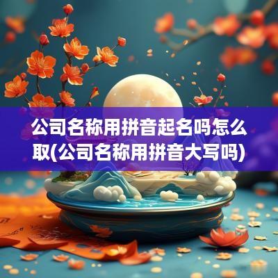公司名称用拼音起名吗怎么取(公司名称用拼音大写吗)