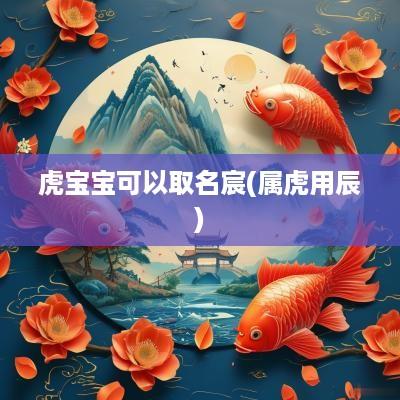 虎宝宝可以取名宸(属虎用辰)
