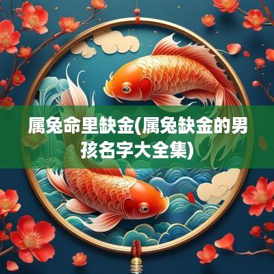 属兔命里缺金(属兔缺金的男孩名字大全集)