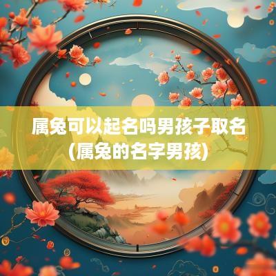 属兔可以起名吗男孩子取名(属兔的名字男孩) 属兔可以起名吗男孩子取名(属兔的名字男孩)