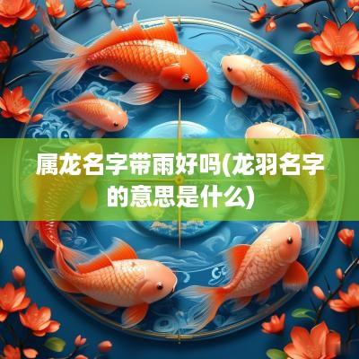 属龙名字带雨好吗(龙羽名字的意思是什么)