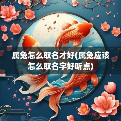 属兔怎么取名才好(属兔应该怎么取名字好听点)