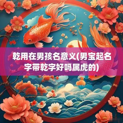 乾用在男孩名意义(男宝起名字带乾字好吗属虎的)