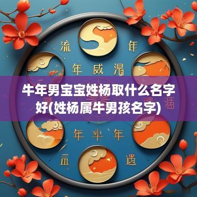 蛇年男宝宝姓杨取什么名字好(姓杨属牛男孩名字)