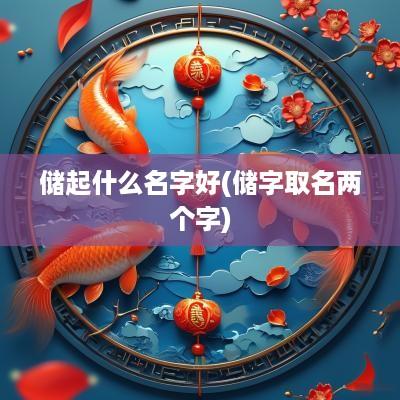 储起什么名字好(储字取名两个字)