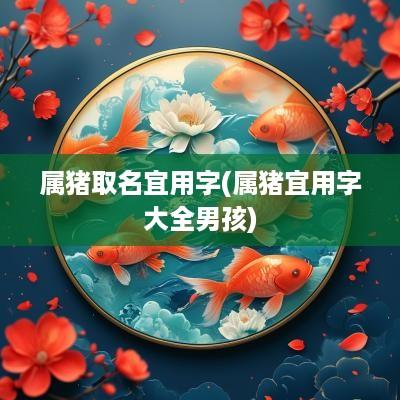 属猪取名宜用字(属猪宜用字大全男孩)