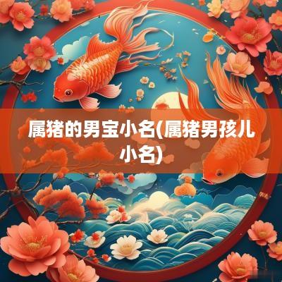 属猪的男宝小名(属猪男孩儿小名)