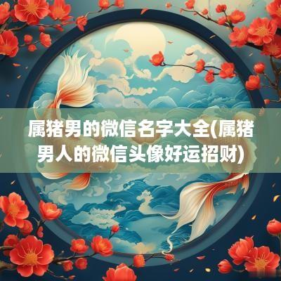 属猪男的微信名字大全(属猪男人的微信头像好运招财)