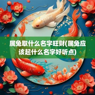 属兔取什么名字旺财(属兔应该起什么名字好听点)