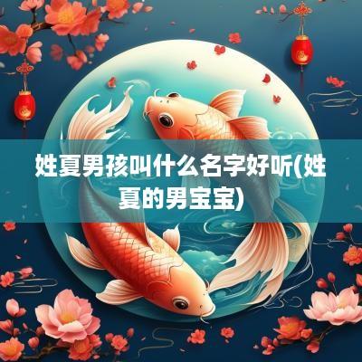 姓夏男孩叫什么名字好听(姓夏的男宝宝)