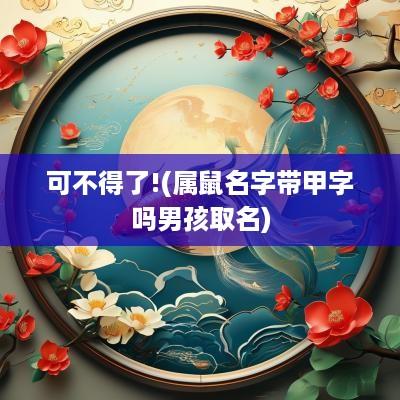 可不得了!(属鼠名字带甲字吗男孩取名)