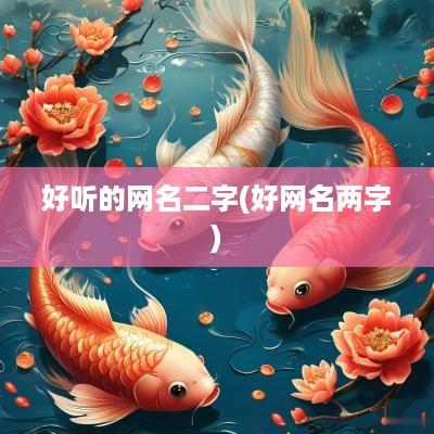 好听的网名二字(好网名两字)