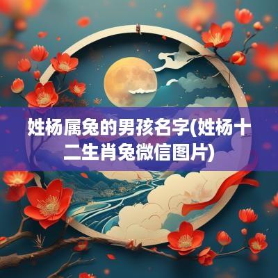 姓杨属兔的男孩名字(姓杨十二生肖兔微信图片)