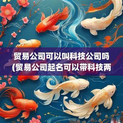贸易公司可以叫科技公司吗(贸易公司起名可以带科技两字吗女生)