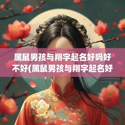 属鼠男孩与翔字起名好吗好不好(属鼠男孩与翔字起名好吗怎么样)