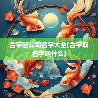 合字起公司名字大全(合字取名字叫什么)