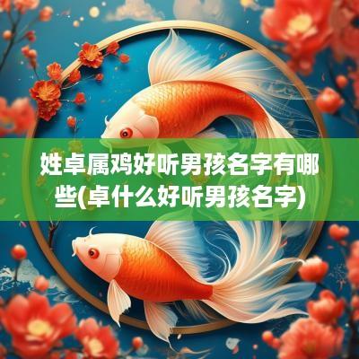 姓卓属鸡好听男孩名字有哪些(卓什么好听男孩名字)