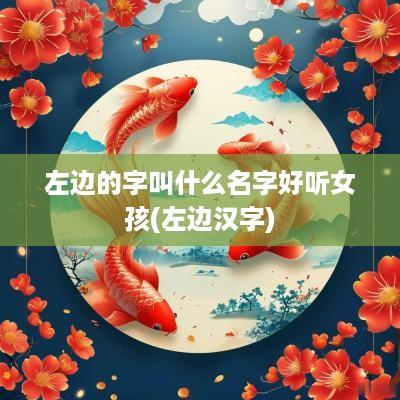 左边的字叫什么名字好听女孩(左边汉字)