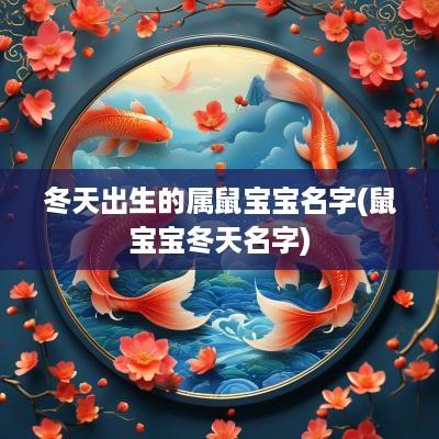 冬天出生的属鼠宝宝名字(鼠宝宝冬天名字)