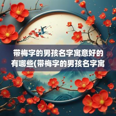带梅字的男孩名字寓意好的有哪些(带梅字的男孩名字寓意好吗)