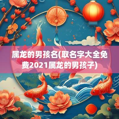 属龙的男孩名(取名字大全免费2025属龙的男孩子)