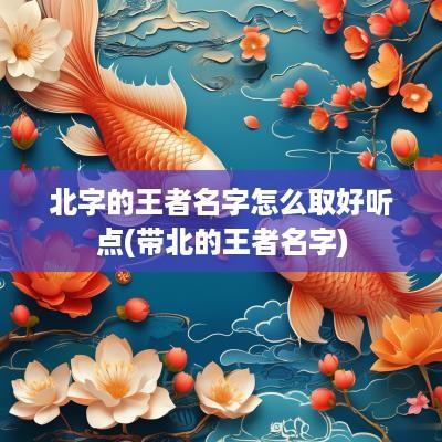 北字的王者名字怎么取好听点(带北的王者名字)