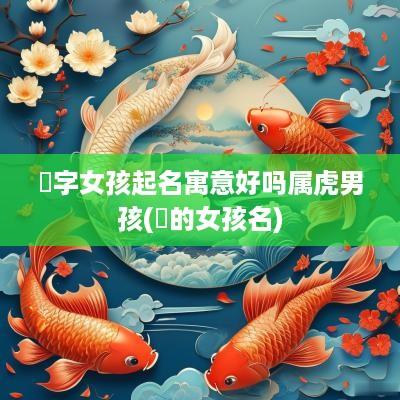 璟字女孩起名寓意好吗属虎男孩(璟的女孩名)