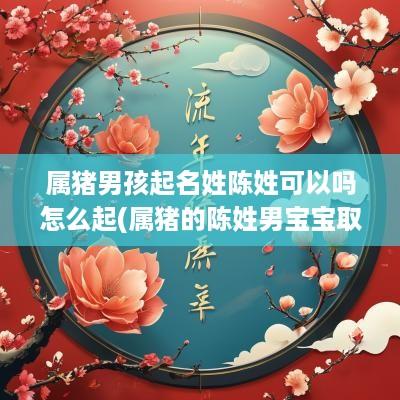 属猪男孩起名姓陈姓可以吗怎么起(属猪的陈姓男宝宝取名)